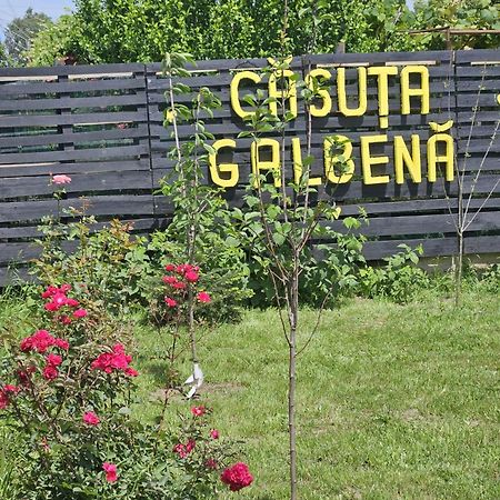 Vila Casuta Galbena Eforie Nord Exteriér fotografie