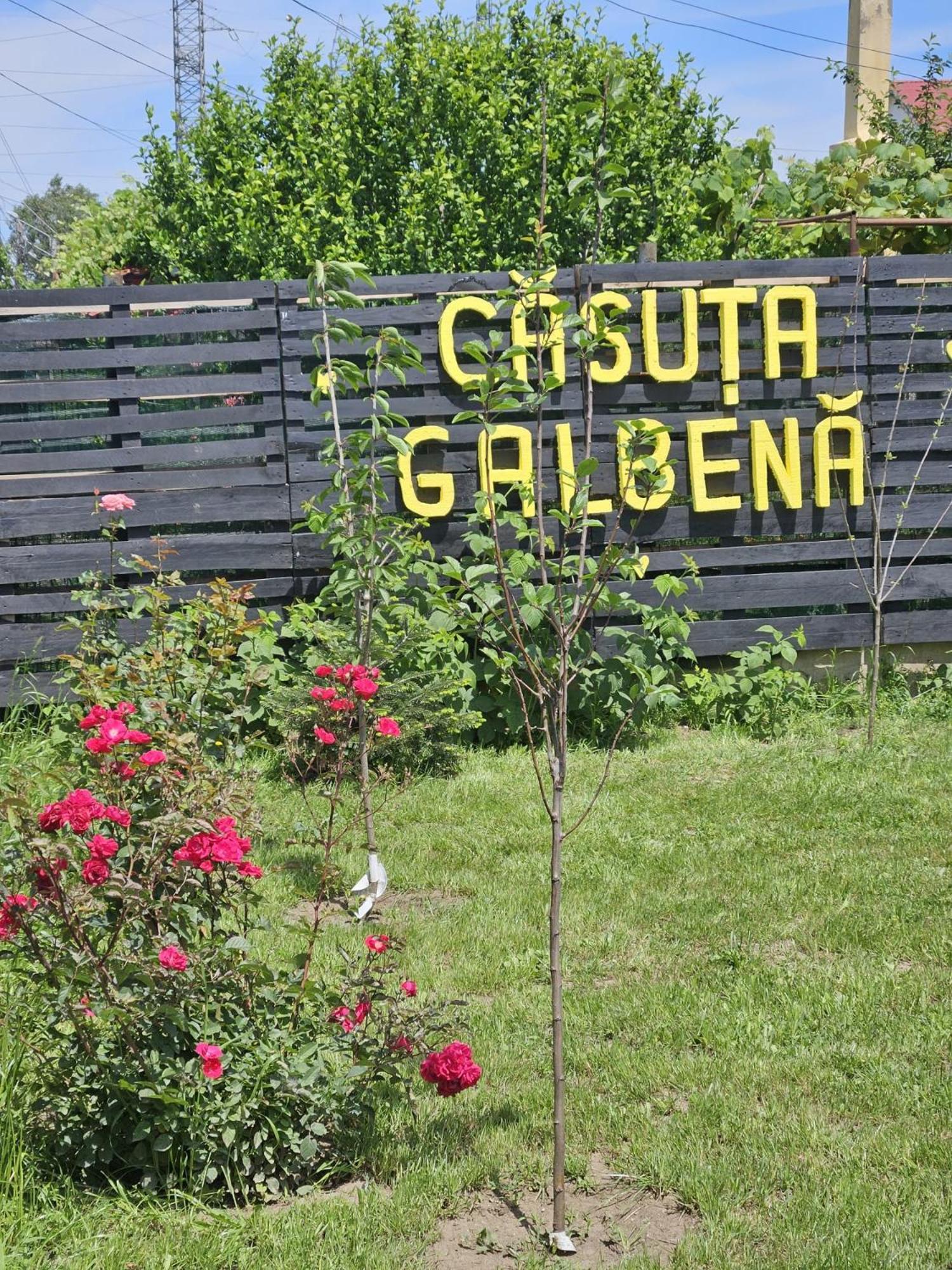 Vila Casuta Galbena Eforie Nord Exteriér fotografie